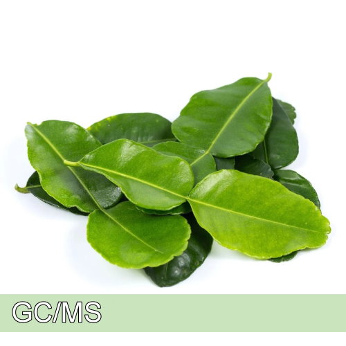 Lemon Leaf-檸檬葉
